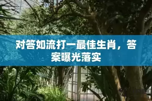 对答如流打一最佳生肖，答案曝光落实