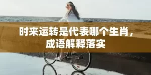 时来运转是代表哪个生肖，成语解释落实