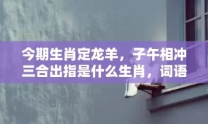 今期生肖定龙羊，子午相冲三合出指是什么生肖，词语解释落实