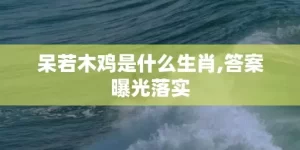 呆若木鸡是什么生肖,答案曝光落实