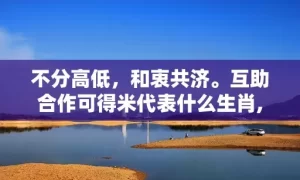 不分高低，和衷共济。互助合作可得米代表什么生肖,精选快答落实