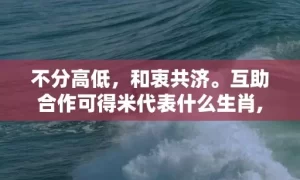 不分高低，和衷共济。互助合作可得米代表什么生肖,词语解答落实