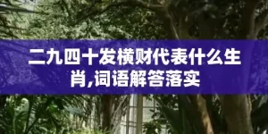 二九四十发横财代表什么生肖,词语解答落实