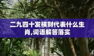 二九四十发横财代表什么生肖,词语解答落实