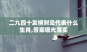 二九四十发横财是代表什么生肖,答案曝光落实