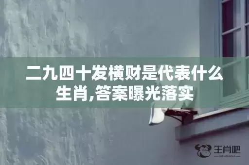 二九四十发横财是代表什么生肖,答案曝光落实