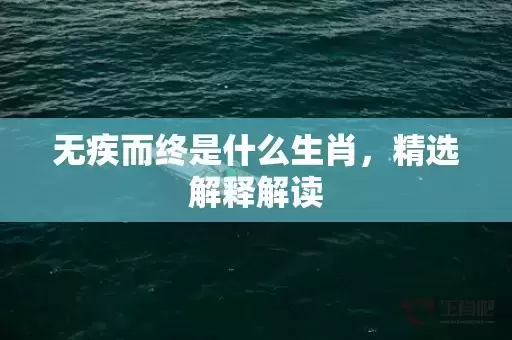 无疾而终是什么生肖，精选解释解读