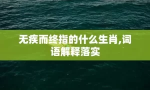 无疾而终指的什么生肖,词语解释落实