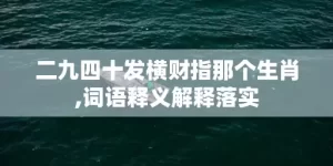 二九四十发横财指那个生肖,词语释义解释落实