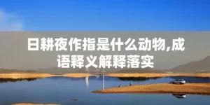 日耕夜作指是什么动物,成语释义解释落实