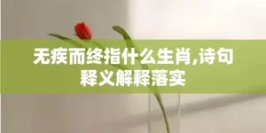 无疾而终指什么生肖,诗句释义解释落实