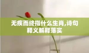 无疾而终指什么生肖,诗句释义解释落实