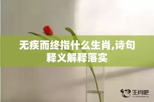 无疾而终指什么生肖,诗句释义解释落实 无疾而终指什么生肖,诗句释义解释落实