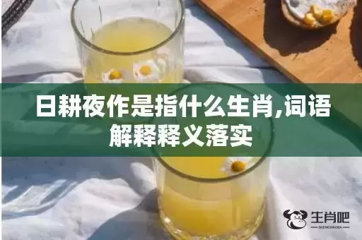 日耕夜作是指什么生肖,词语解释释义落实