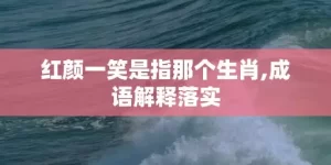 红颜一笑是指那个生肖,成语解释落实