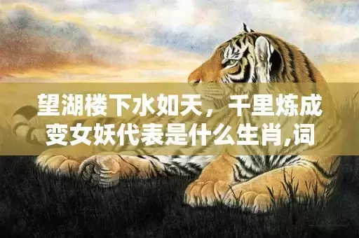望湖楼下水如天,千里炼成变女妖代表是什么生肖,词典解释落实 望湖楼下水如天,千里炼成变女妖代表是什么生肖,词典解释落实