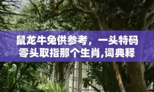 鼠龙牛兔供参考，一头特码零头取指那个生肖,词典释义解释落实