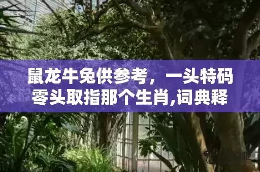鼠龙牛兔供参考，一头特码零头取指那个生肖,词典释义解释落实