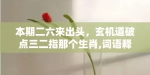 本期二六来出头，玄机道破点三二指那个生肖,词语释义解释落实