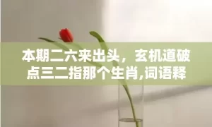 本期二六来出头，玄机道破点三二指那个生肖,词语释义解释落实