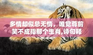 多情却似总无情，唯觉尊前笑不成指那个生肖,诗句释义解释落实