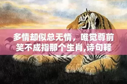 多情却似总无情，唯觉尊前笑不成指那个生肖,诗句释义解释落实
