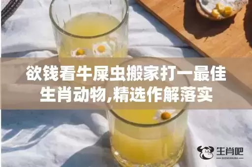 欲钱看牛屎虫搬家打一最佳生肖动物,精选作解落实