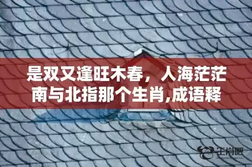 是双又逢旺木春,人海茫茫南与北指那个生肖,成语释义解释落实 是双又逢旺木春,人海茫茫南与北指那个生肖,成语释义解释落实