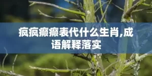 疯疯癫癫表代什么生肖,成语解释落实