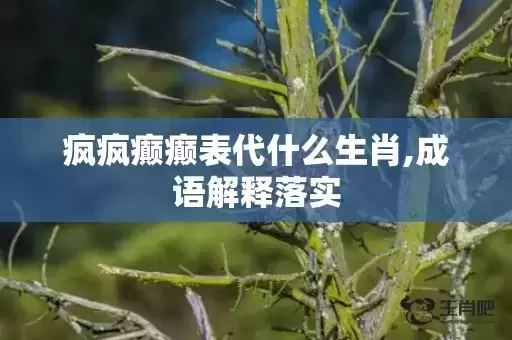 疯疯癫癫表代什么生肖,成语解释落实