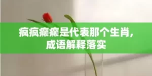 疯疯癫癫是代表那个生肖,成语解释落实