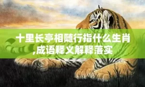 十里长亭相随行指什么生肖,成语释义解释落实