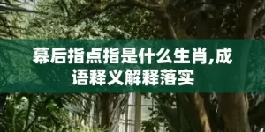 幕后指点指是什么生肖,成语释义解释落实