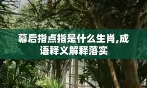 幕后指点指是什么生肖,成语释义解释落实