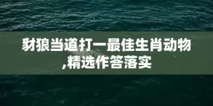 豺狼当道打一最佳生肖动物,精选作答落实