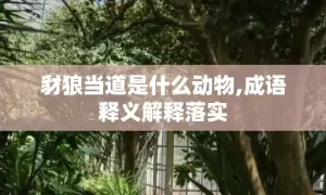 豺狼当道是什么动物,成语释义解释落实