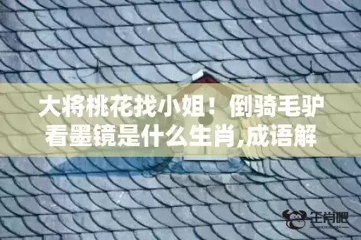 大将桃花找小姐！倒骑毛驴看墨镜是什么生肖,成语解释落实