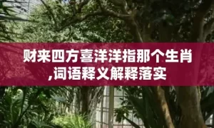 财来四方喜洋洋指那个生肖,词语释义解释落实