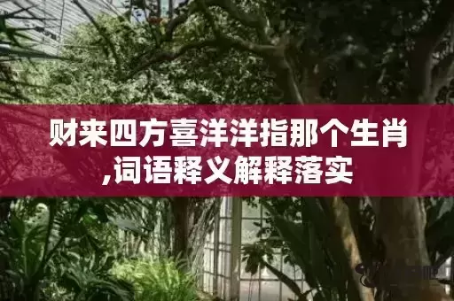 财来四方喜洋洋指那个生肖,词语释义解释落实 财来四方喜洋洋指那个生肖,词语释义解释落实