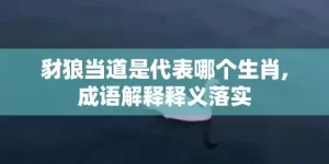 豺狼当道是代表哪个生肖,成语解释释义落实