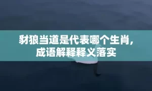 豺狼当道是代表哪个生肖,成语解释释义落实