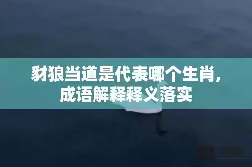 豺狼当道是代表哪个生肖,成语解释释义落实
