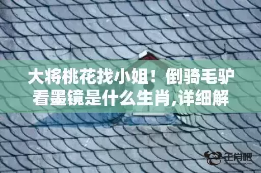 大将桃花找小姐！倒骑毛驴看墨镜是什么生肖,详细解释落实