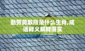 勤劳勇敢指是什么生肖,成语释义解释落实