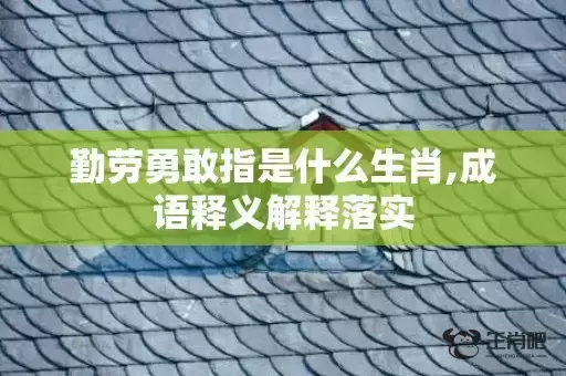 勤劳勇敢指是什么生肖,成语释义解释落实 勤劳勇敢指是什么生肖,成语释义解释落实