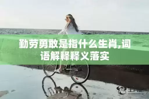 勤劳勇敢是指什么生肖,词语解释释义落实 勤劳勇敢是指什么生肖,词语解释释义落实