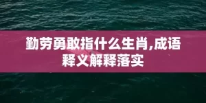 勤劳勇敢指什么生肖,成语释义解释落实