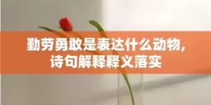 勤劳勇敢是表达什么动物,诗句解释释义落实