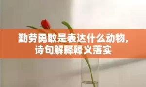 勤劳勇敢是表达什么动物,诗句解释释义落实