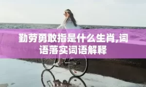 勤劳勇敢指是什么生肖,词语落实词语解释